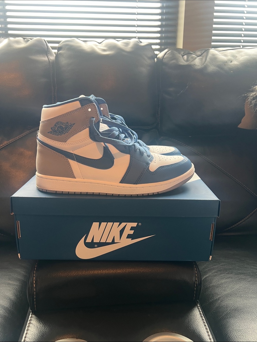 Mens Air Jordan 1 High-Top Sneakers in White and Light Blue True Blue